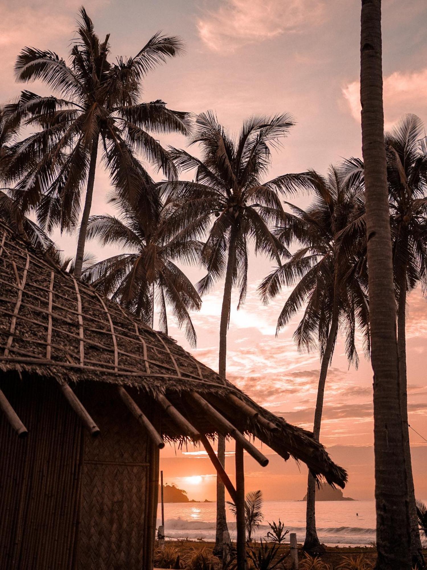 Eco Sanctuaries Nature Lodge Nacpan Beach, El Nido Exterior foto